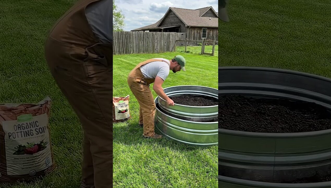 Genius DIY Garden Hack! 🍓 Building a 4-Tier Strawberry Tower
