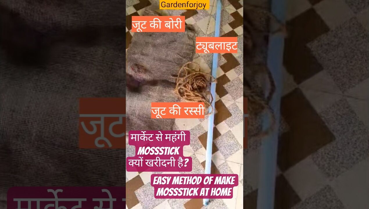 मार्केट से महंगी mossstick र्क्यों खरीदनी है? Easy Method of Make Mossstick at Home #diy #garden