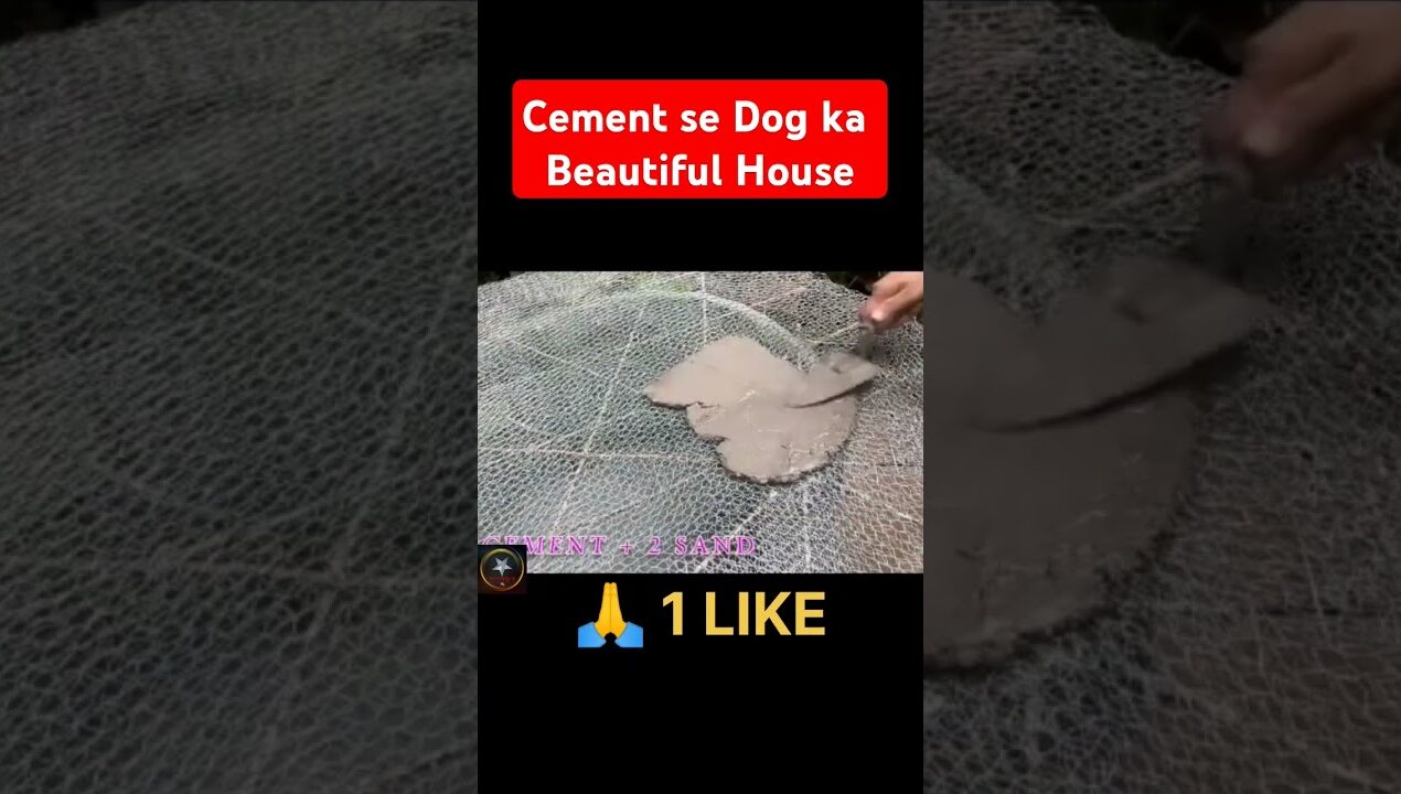 Cement Dog House Ideas From Old Pallets – Build One For Your Pet#shorts #viralvideo