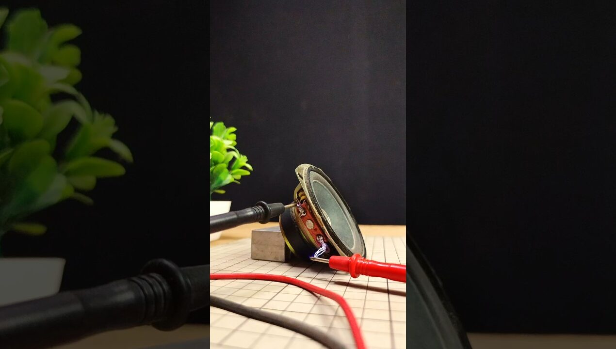 1000 volt in the speaker 💀💀💀 #diy #experiment