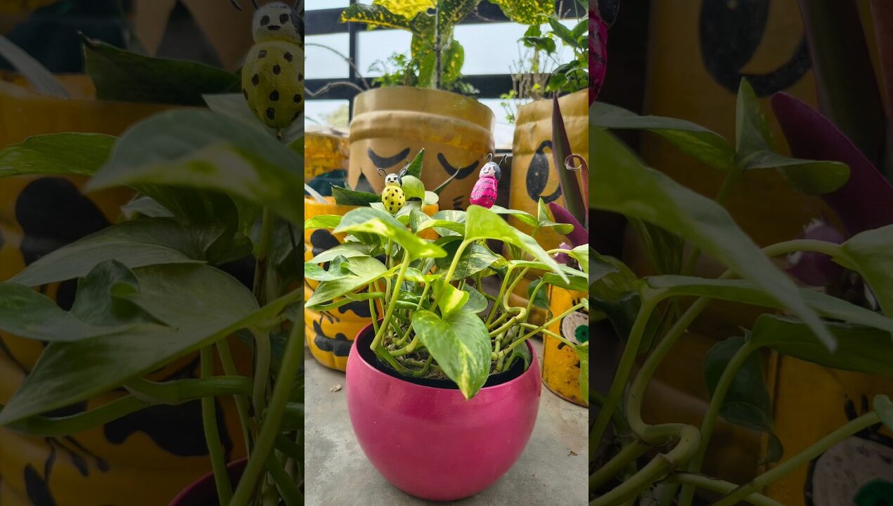 DIY Plant Stake /Garden Decoration ideas #diy #viralshorts #shorts #craftideas