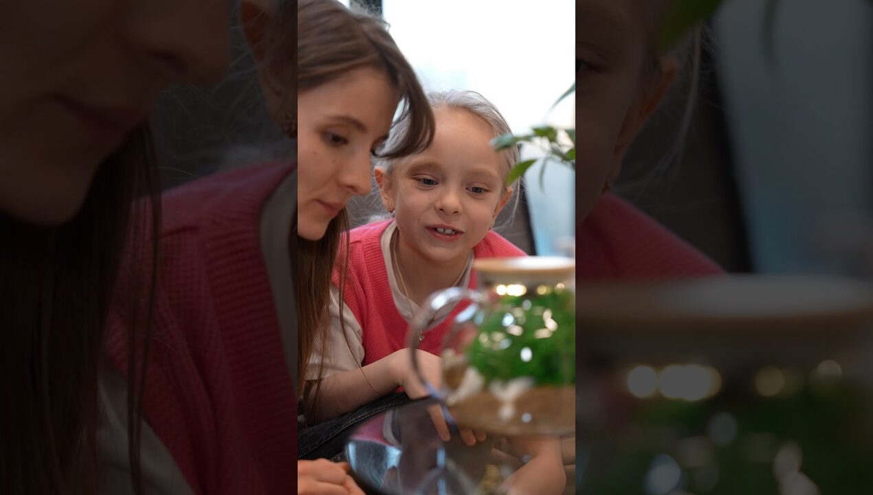 Сделала Моссариум из старого чайника! Оцени от 1 до 10 #diy #поделка #handmade