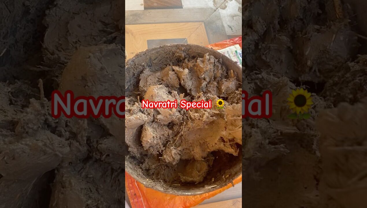 Hawan kund navratri Special #viralvideo #craftyliving #diyideas #hawankund #shorts #shortsfeed #diy