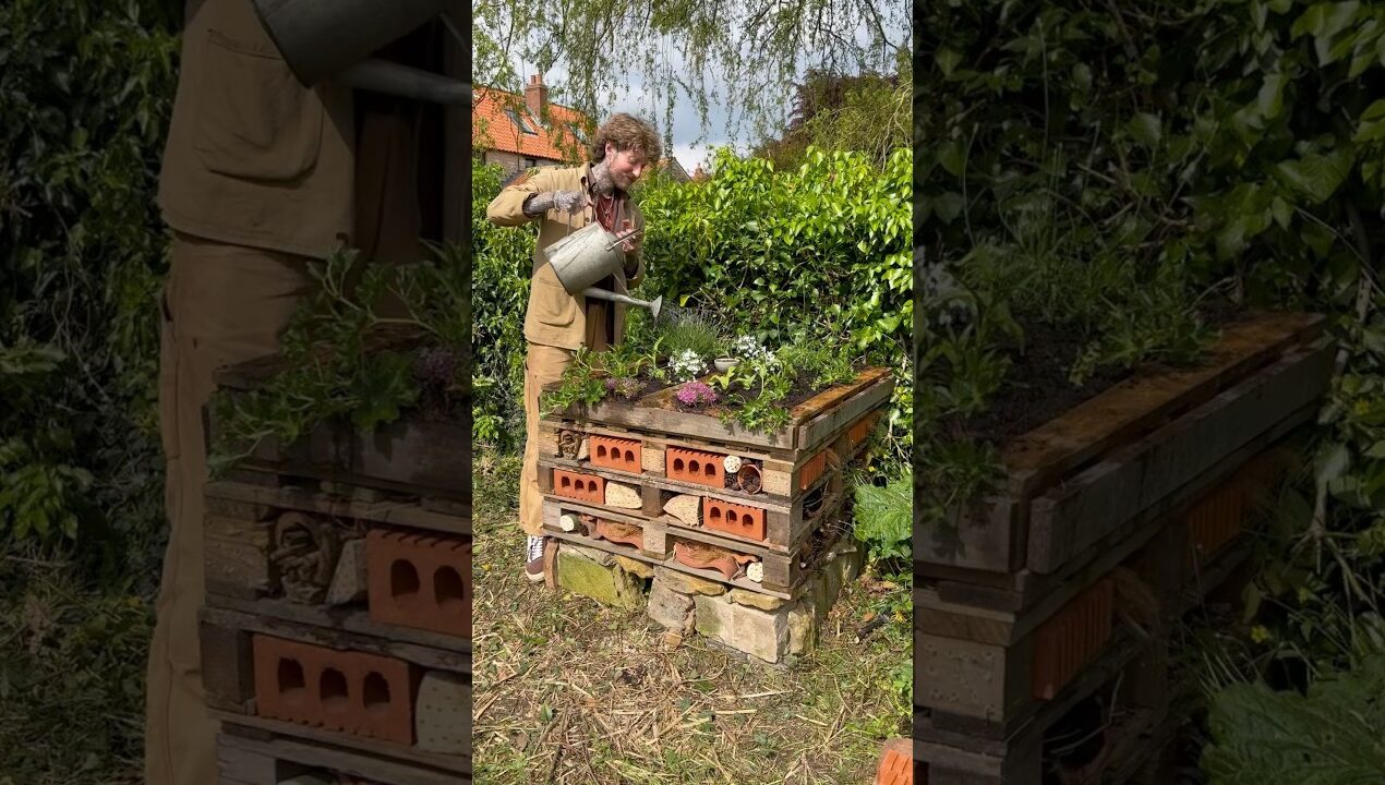 DIY Garden Projects for Biodiversity and Abundance! 🌱🌸🐝 #gardening #biodiversity #gardeningtips