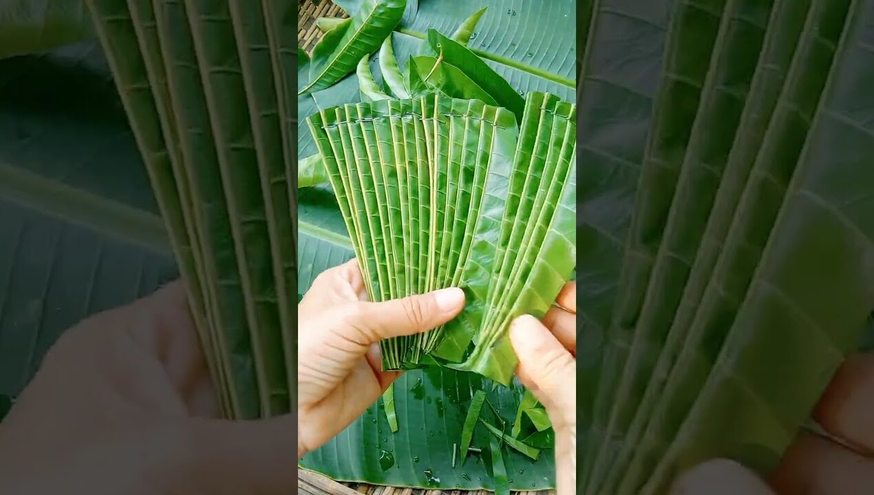 วิธีประดิษฐ์กรวยแต่งจากใบไม้ #diy #งานฝีมือ #diyleaf #ideas