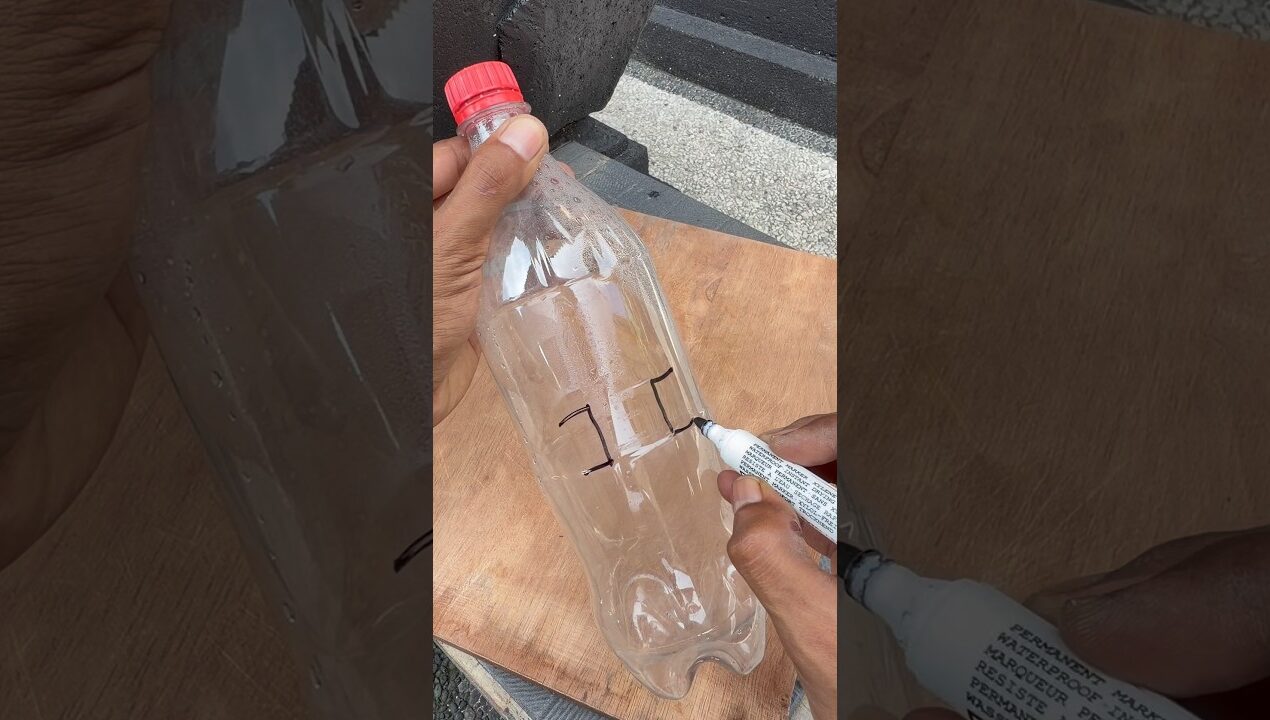 Very Useful Idea With a Plastic Bottle! #diy #ideas