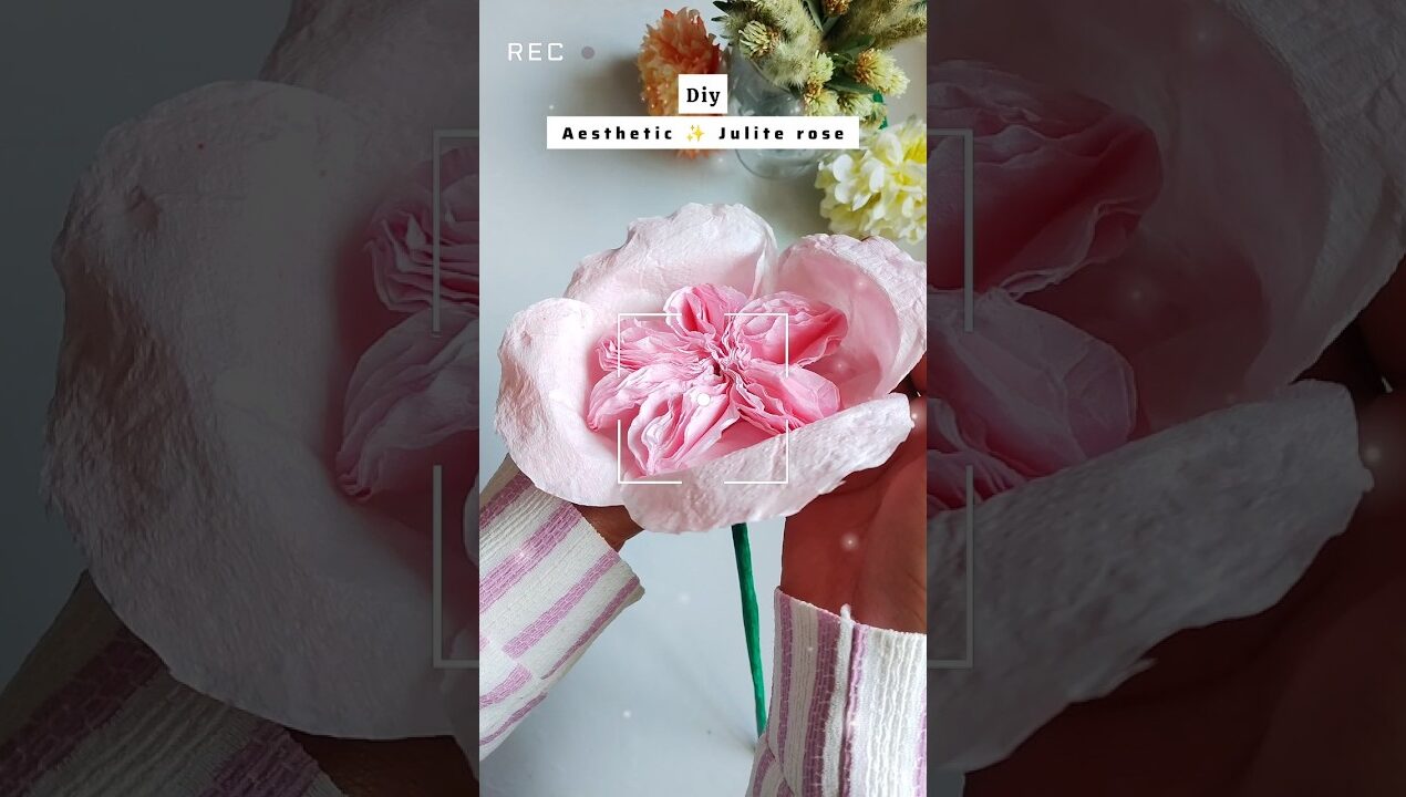 Diy super aesthetic ✨ Julite rose ✨ flower by tissue #diy #art #craft #viral #flowers
