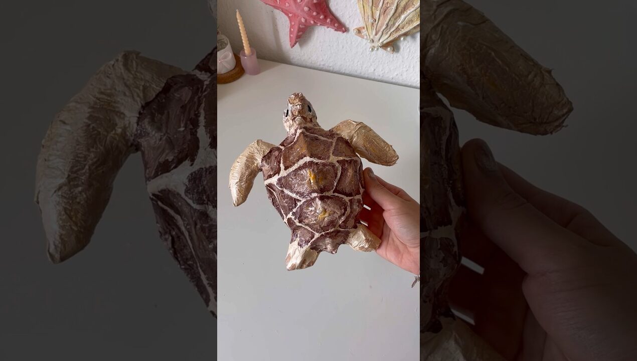 DIY sea turtle tutorial🌊🐢