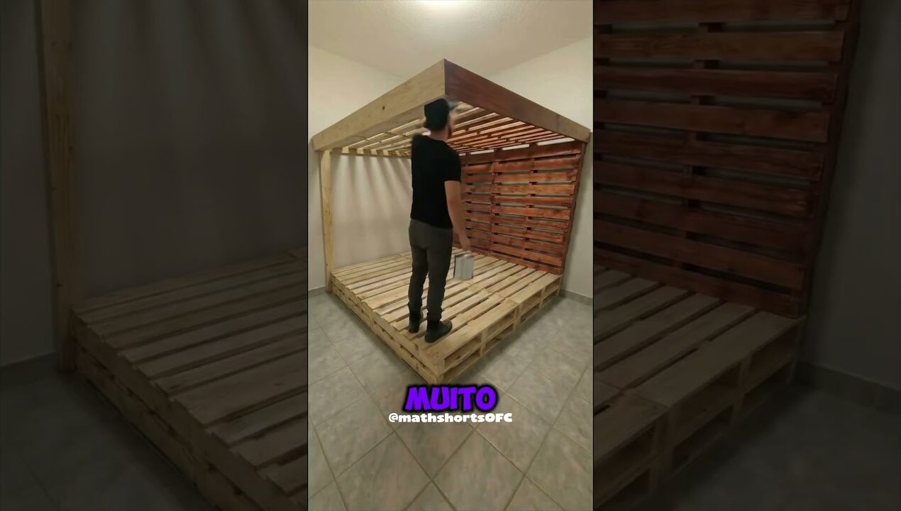 COM APENAS ALGUNS PALETS ELE FEZ ISSO #shorts