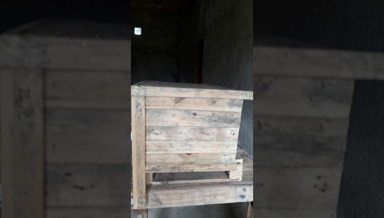 Meu baú de pallet