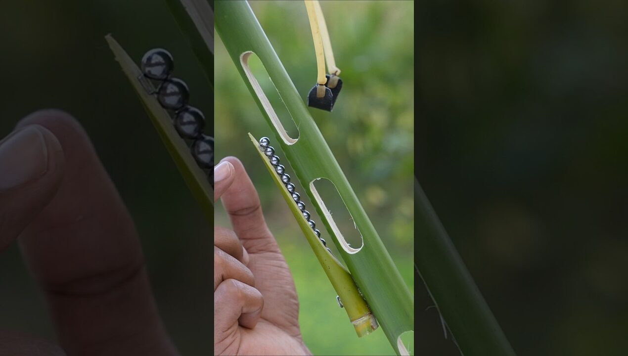 Steel Boll and rover toys | Bamboo creations #Diy #Craft #Toys #Bambooart