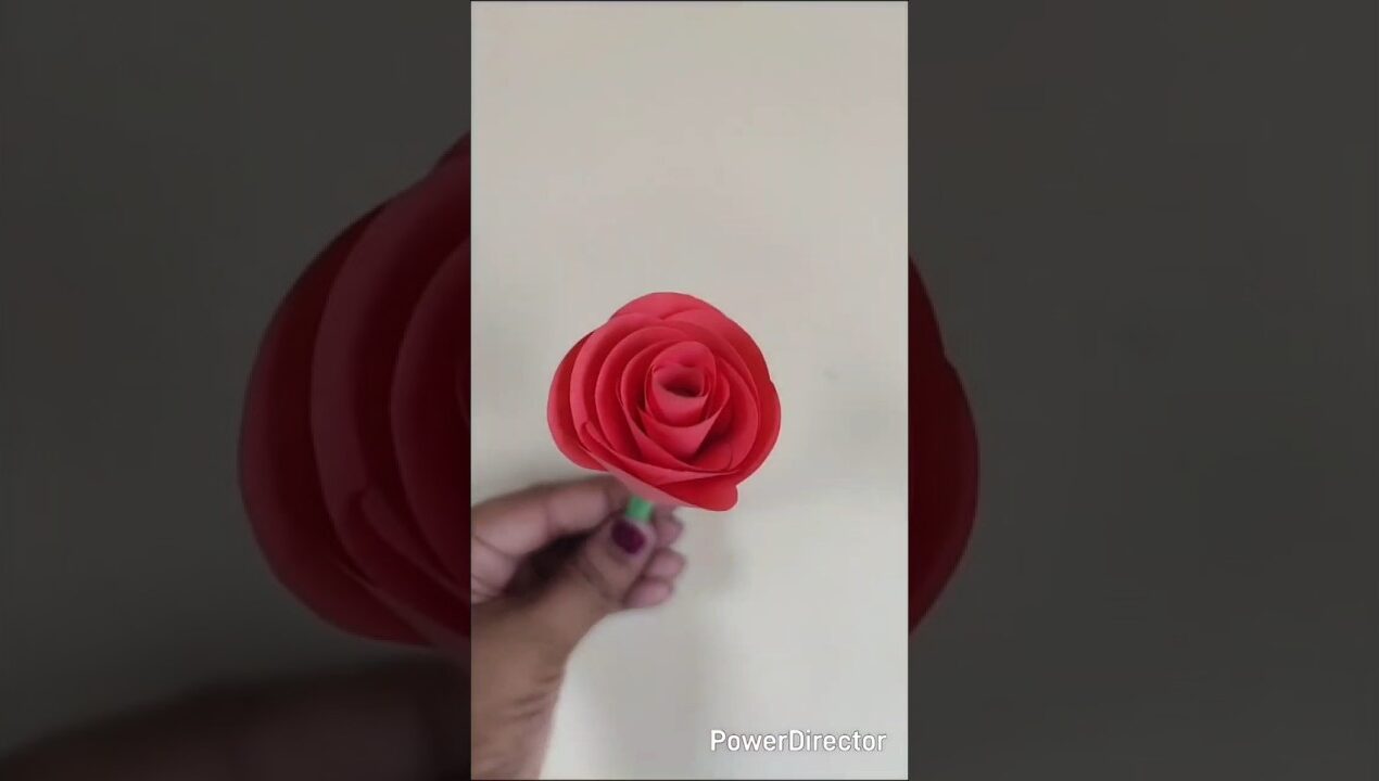 #diy paper rose#diy #craft #shortsfeed #shortsviral#shorts #viralshorts#flowers#paperart #aesthetic