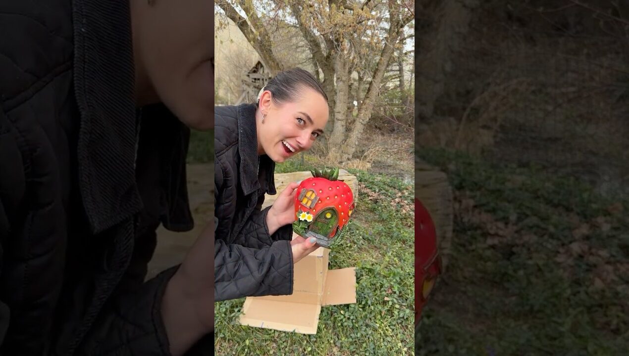 FAIRY GARDEN PREP🧚 What I’m doing to protect the fairy houses! #fairygardenideas #fairygarden