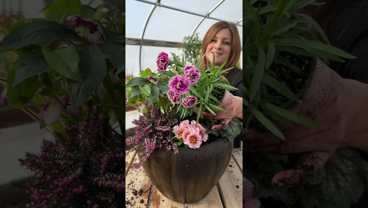 First spring container! Yay! 🌸🥰🌿
