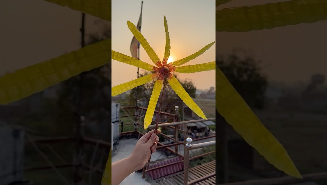 Spinner for garden#🪴 #shorts #gardening #madhuridevi