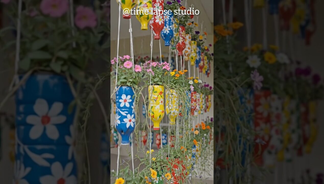 Small Garden Ideas | DIY Hanging Bottle Planters for Small Space #gardening #timelapse #shorts