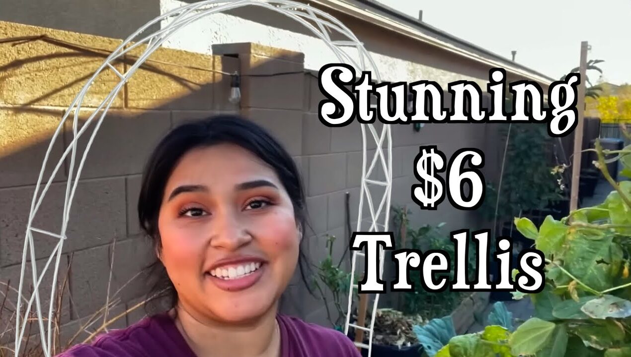 $6 DIY Garden Trellis (NO TRUCK NEEDED!) 🌿 Cheap & Easy Vertical Gardening