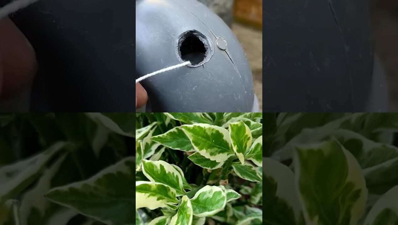 Super idea! Pour glue on Styrofoam and Amaze with result! #diy #ideas #lifehack #shorts