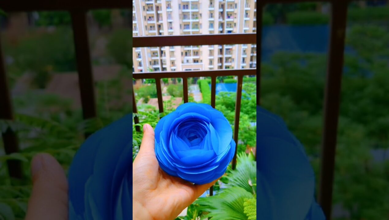 DIY flower 🌹✨#Diycraft #Reels #shorts #craft #craftyhome #youtubeshorts  #vralvideo #diyideas #DIY