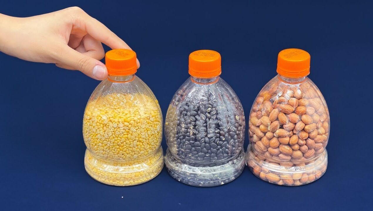 6 Plastic Bottle Recycling Ideas You Wish You Had Known Sooner. EASY HOME HACKS 2024