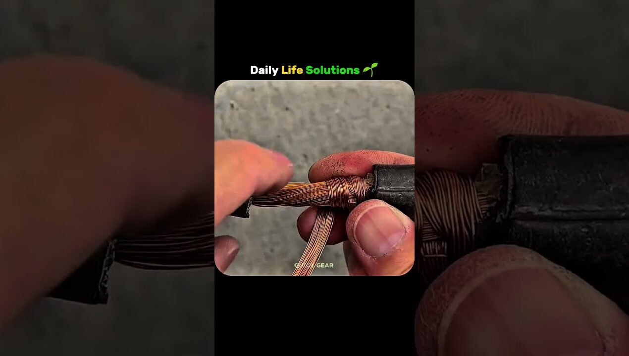 ✨ Creative DIY Ideas ✂️ | Practical Life Hacks 🌱 #shorts #tools