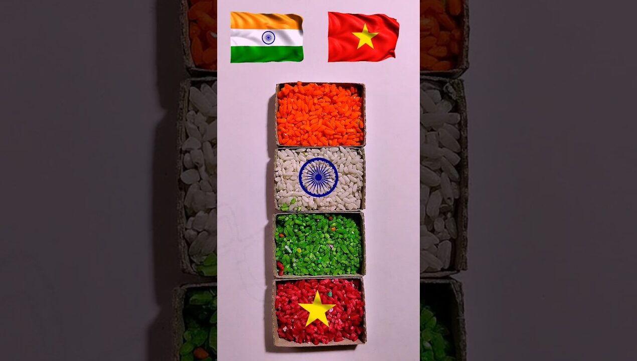 India 🇮🇳 vs Vietnam 🇻🇳 Flag Rice Art 🌾✨ Amazing Tricolor vs Star Art Creative Idea