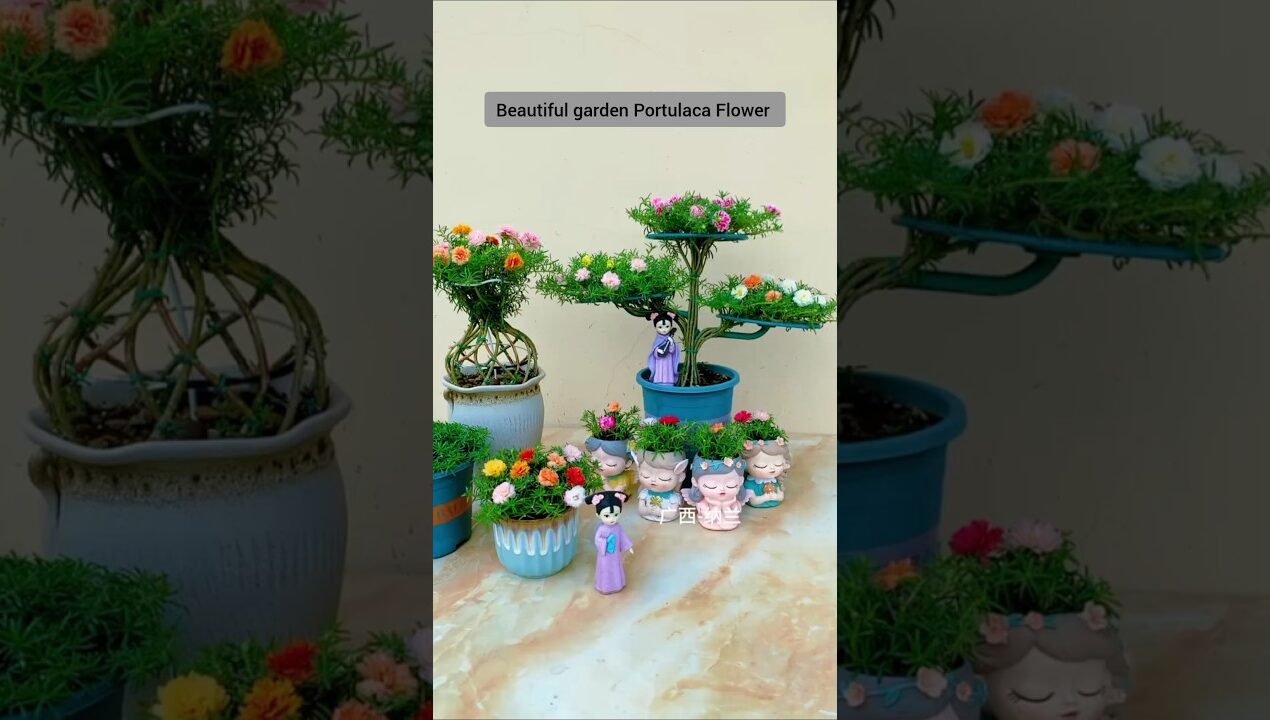 Portulaca flower garden idea inside #shorts #portulacaflower #diy