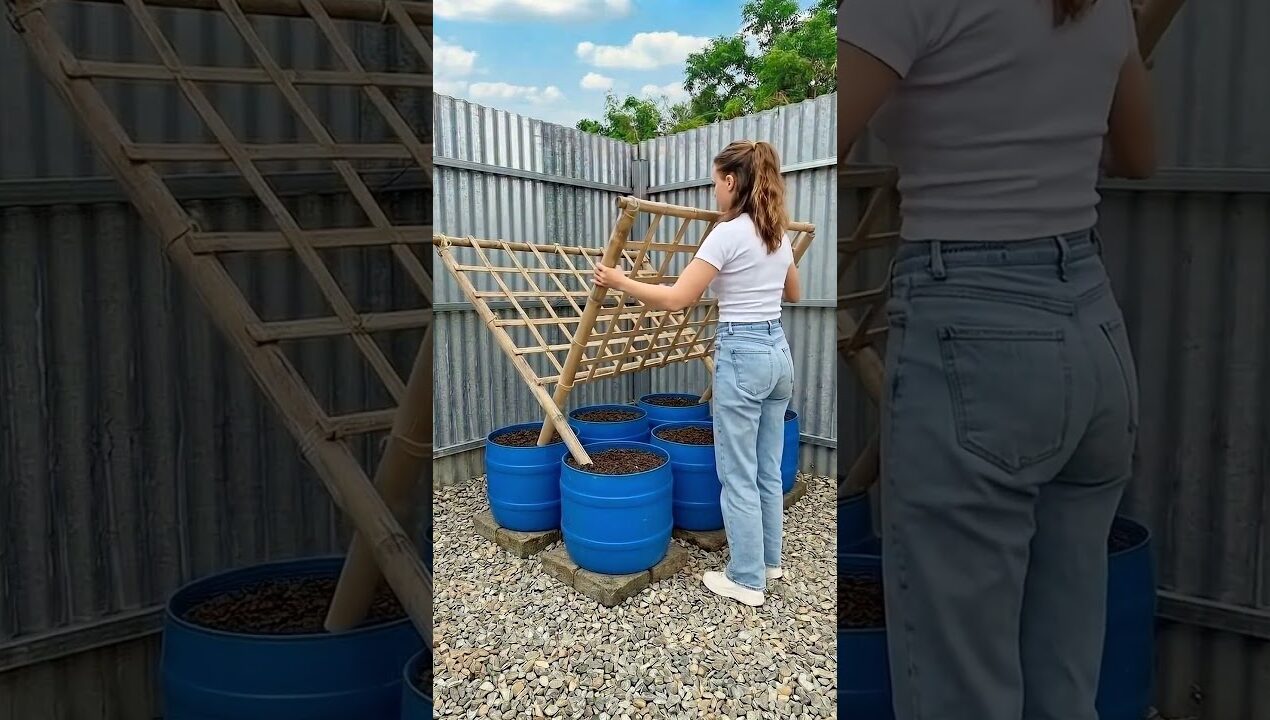 Stop Buying Cucumbers! 🥒 This Barrel Farming Hack Saves You MONEY 🤯 (USA DIY)