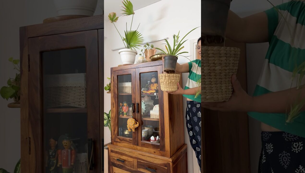 5 Plant Decoration Ideas #shorts