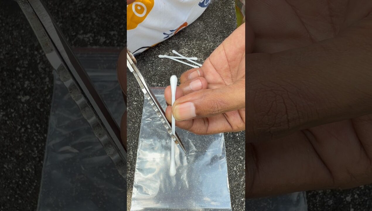 Gerius Garden Hack With a Cotton Bud! #diy