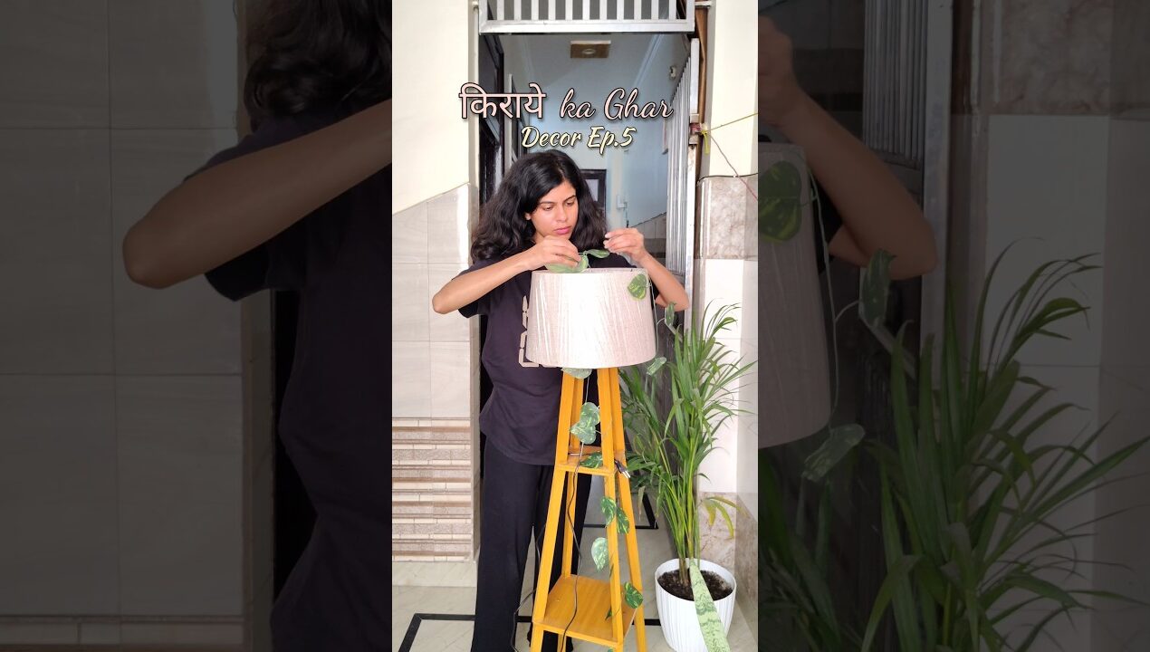 Rental Home Decor Ep.5 #minivlog #homedecor #rental #makeover #plants #diy #ytshorts