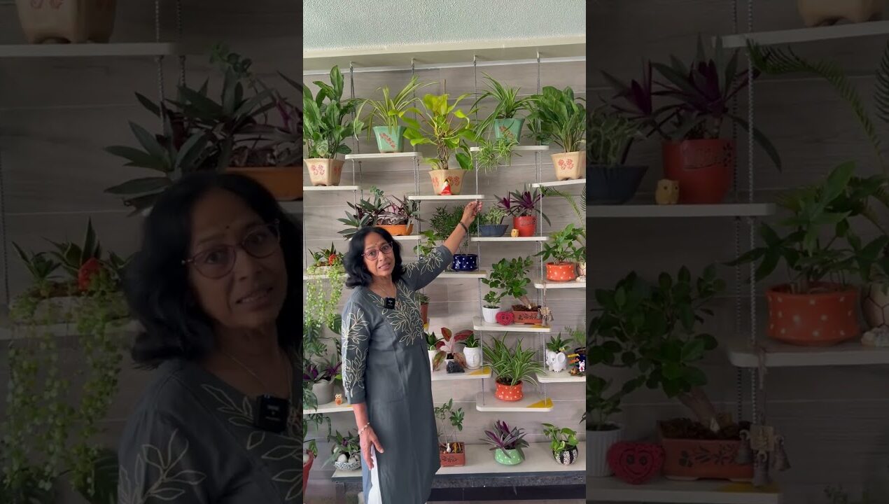 DIY Plant Swing Idea 🌱 | Turn Waste Ply into Beautiful Garden Decor#plantcaretips