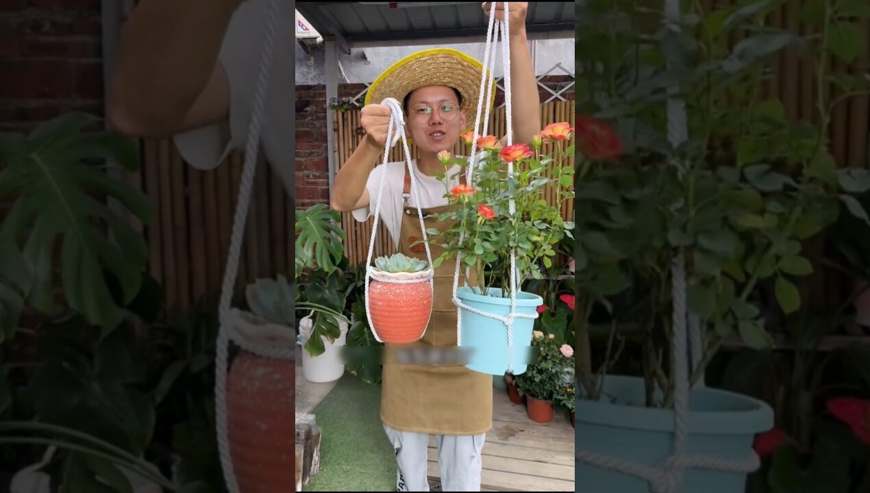 👉 “₹0 में मजबूत हैंगिंग पॉट जुगाड़! 🌿🔥 | आसान, सस्ता और सुपर स्टाइलिश!” #oitgarden