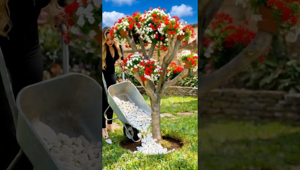 DIY: Transformação de Árvore Seca em Decoração de Jardim 🌸 #shorts #homegarden