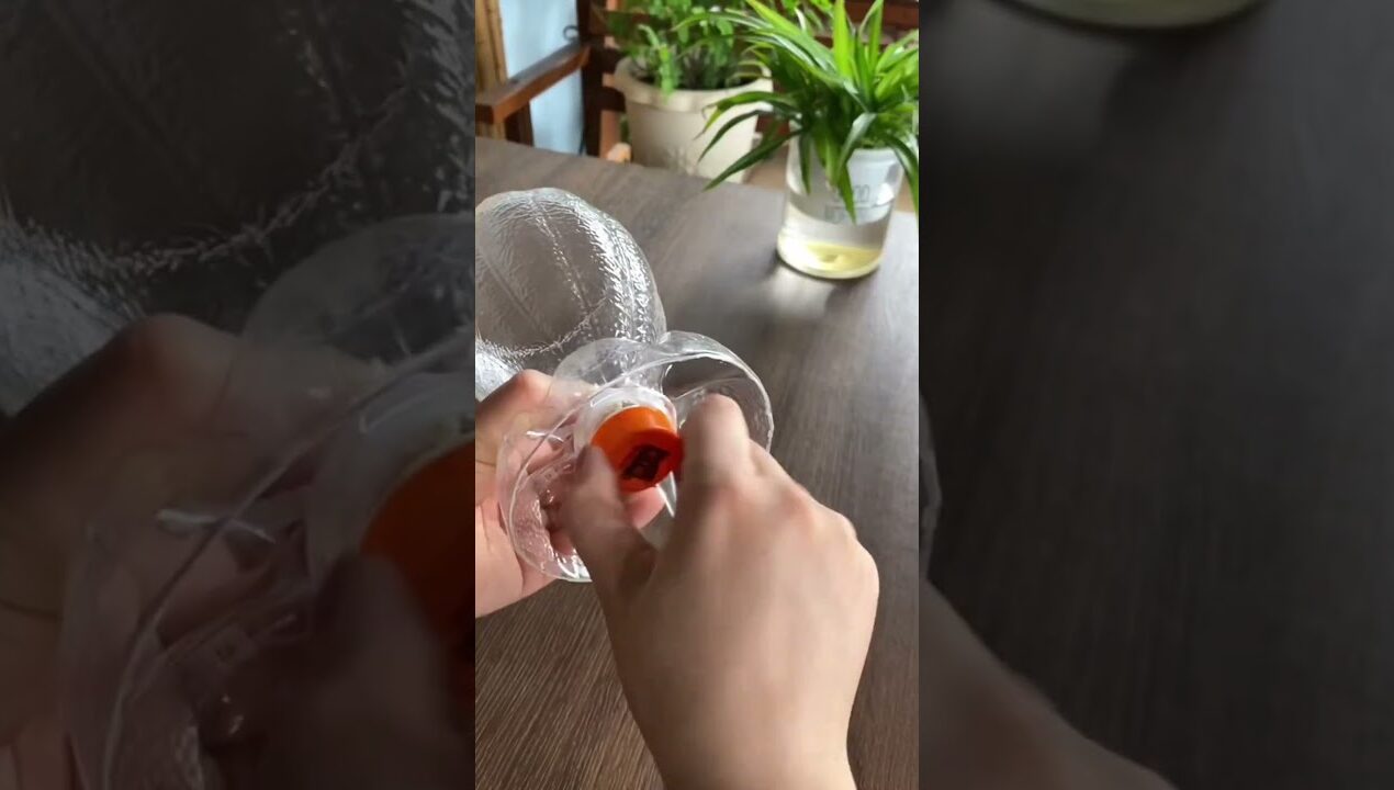 Self-Watering Plant Pot from Plastic Bottle – Simple & Smart 🌱