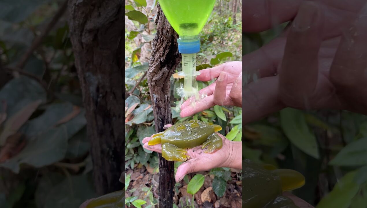 Survival Skills DIY make soap 🧼 and save water 💧 for survival #camping #outdoors #diy