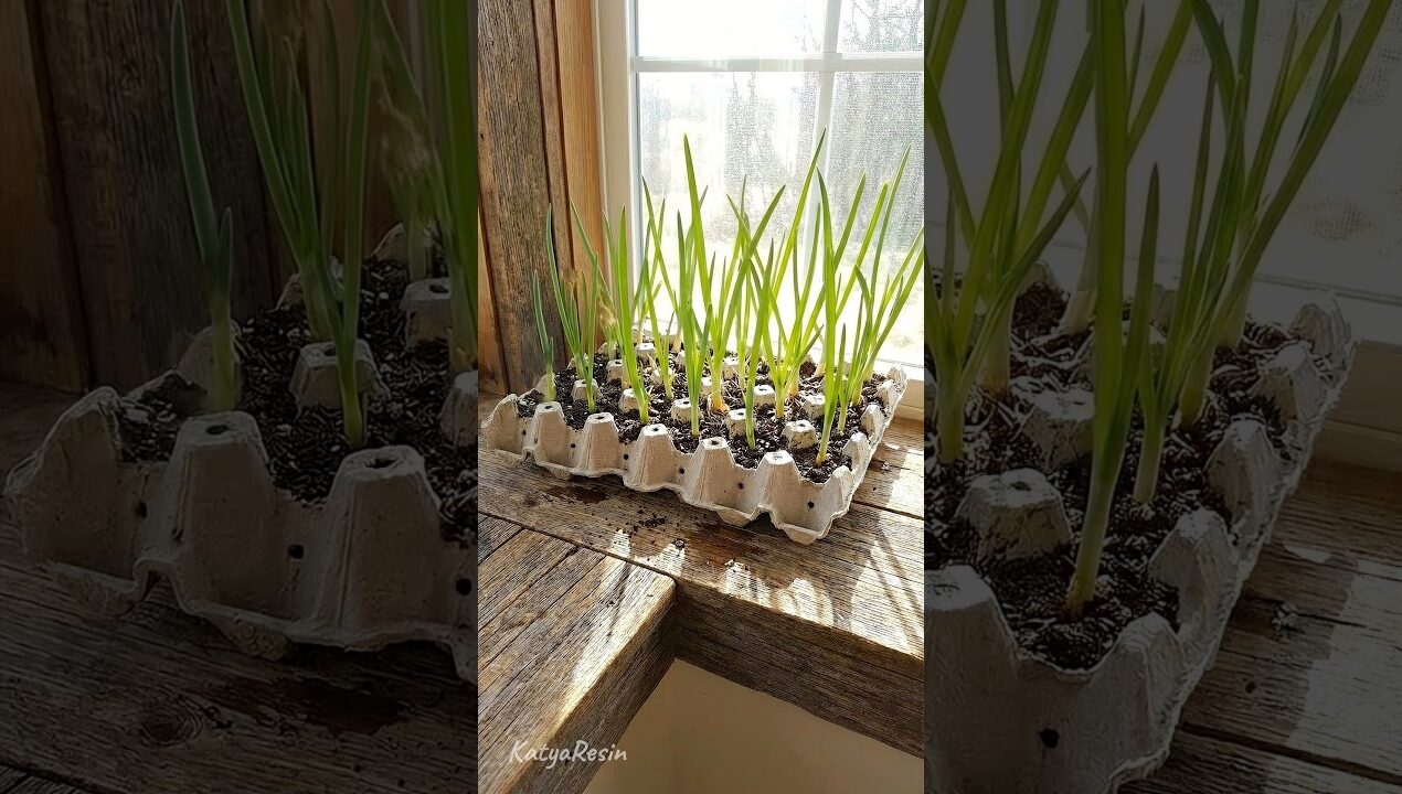 24 марта 2026 г.