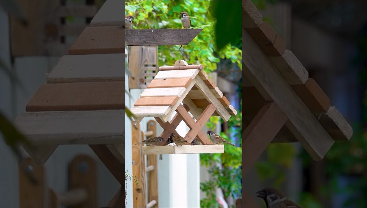 CREATE Amazing Woodworking Projects FROM Old Pallets!