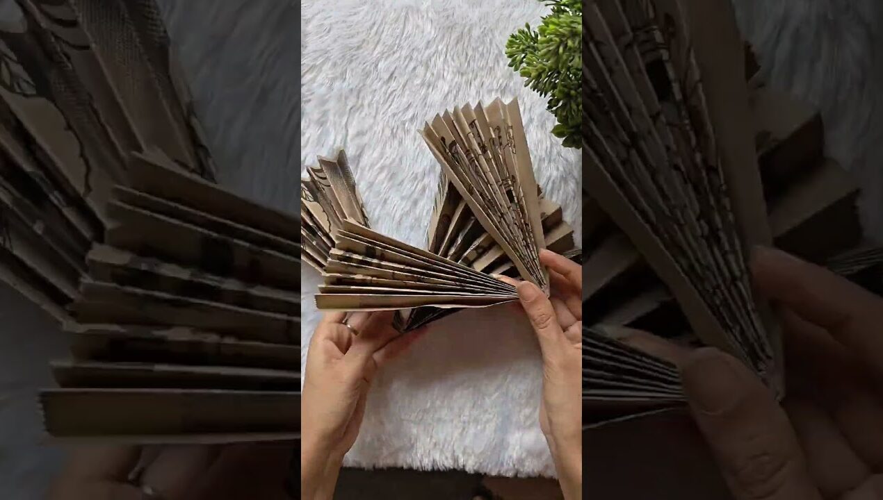 DIY Paper fan from blinkit bag😱 #multitalentedshivani #diy #ideas #youtubeshorts #shorts #viral