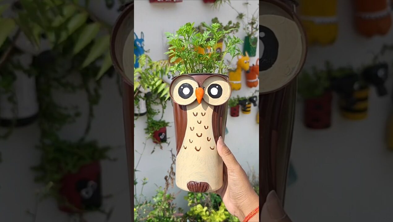 DIY Cutest Owl🦉 Planter from Horlicks Bottle #diy #craft #planter #cuteplanter #reuse #upcycling