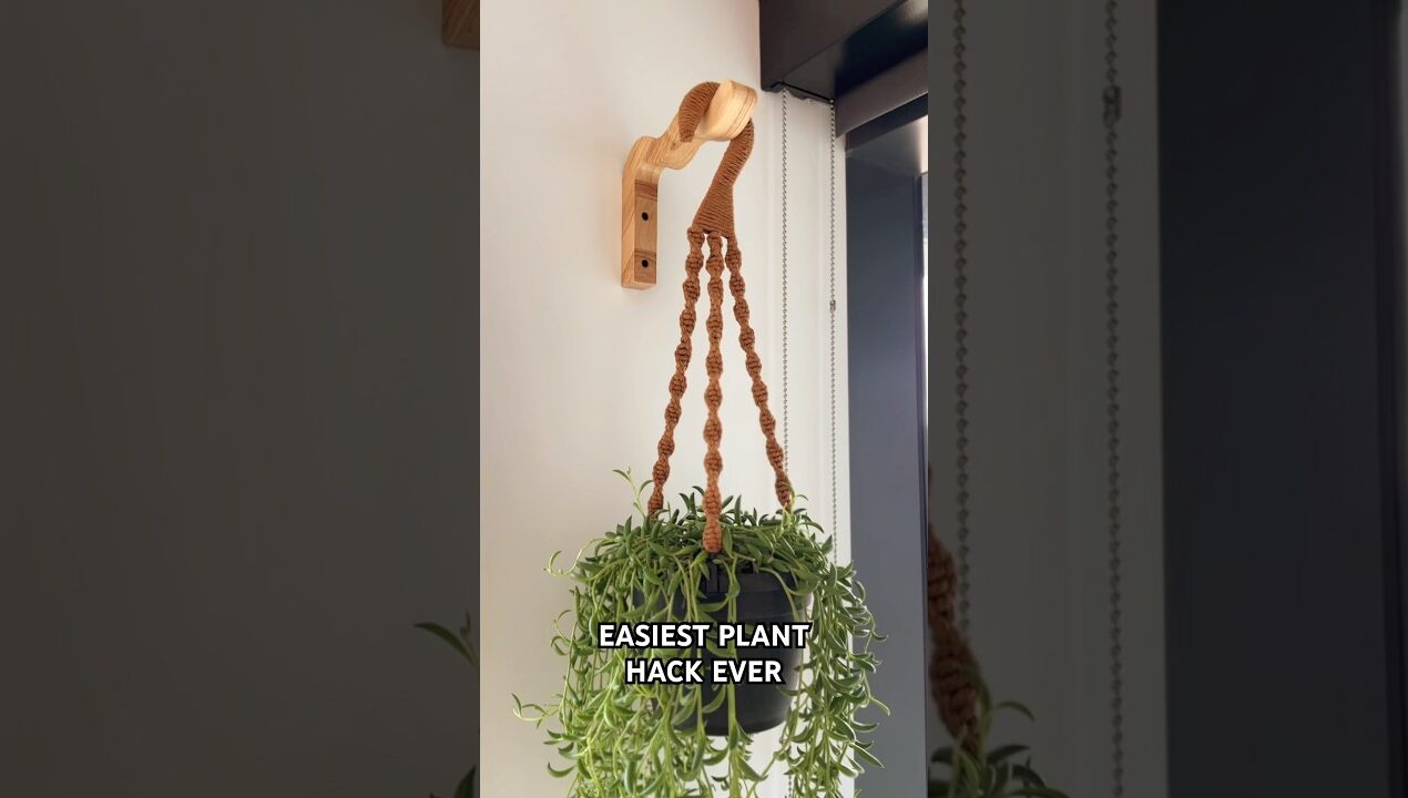 Don’t throw away your ugly plastic plant hanger, do this instead! #diyideas #diyhacks #diydecor