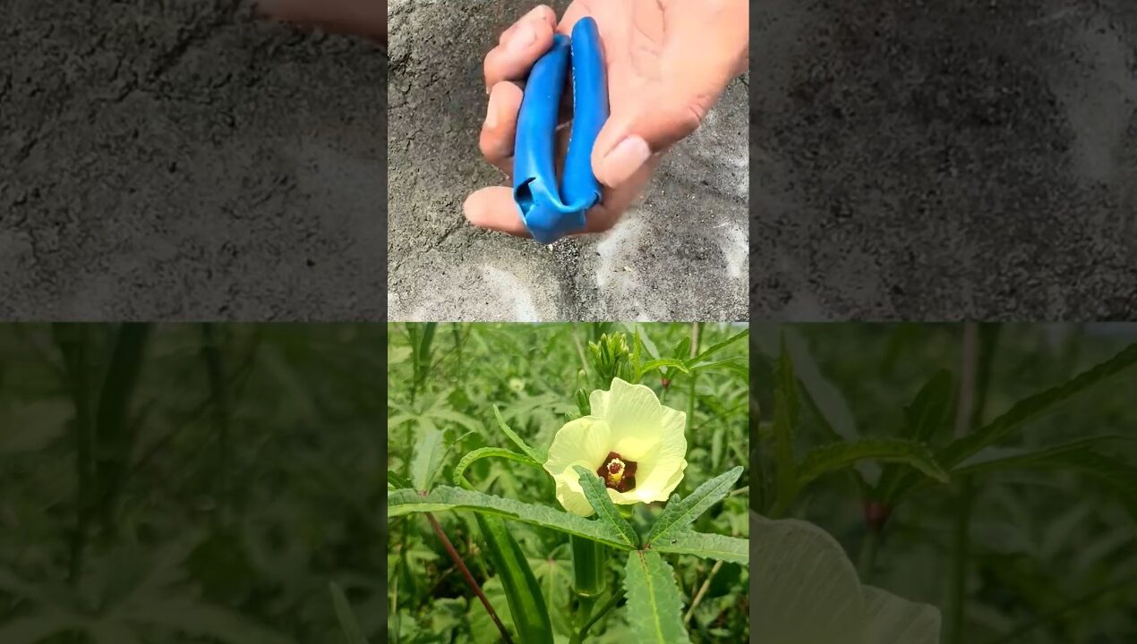 Smart idea! How to make plier handle with a hose! #diy #ideas #lifehacks #shorts