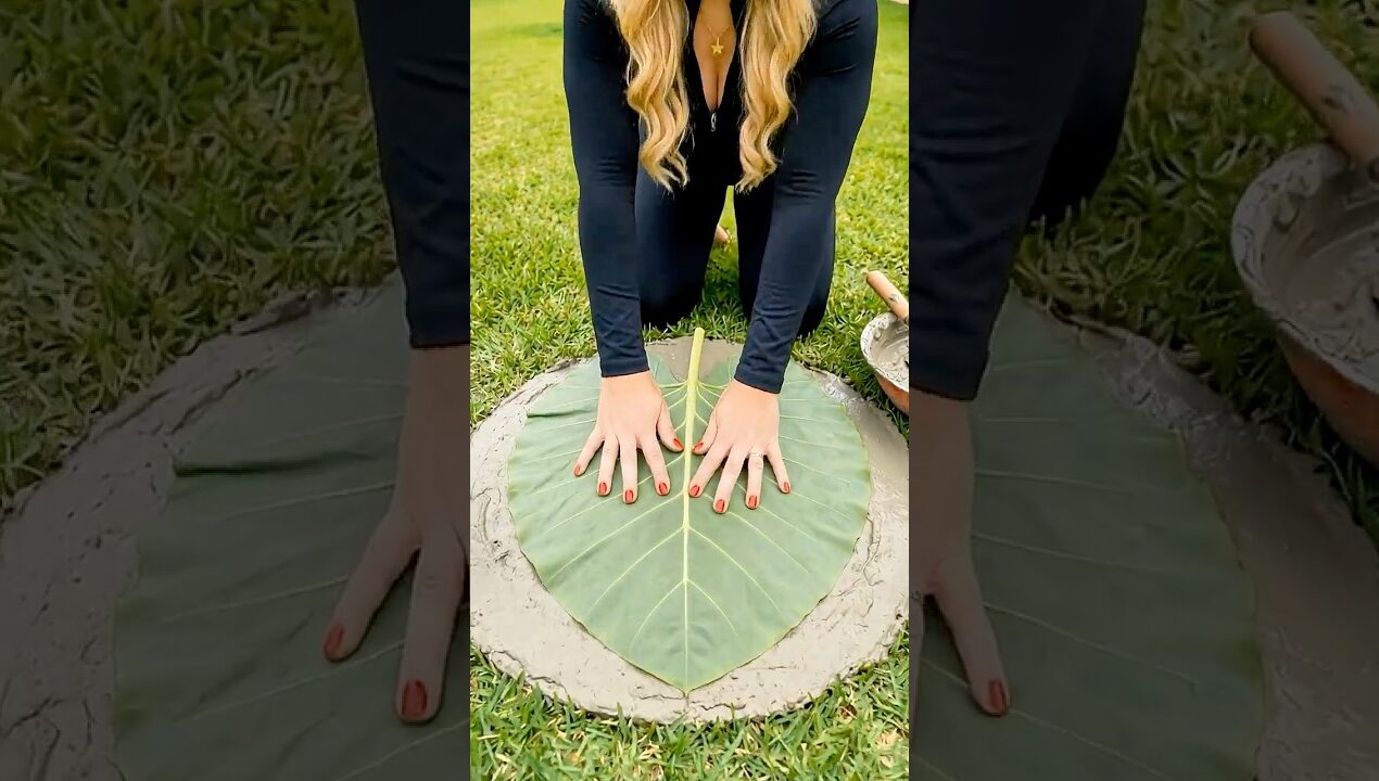 DIY Garden: Easy Decoration Idea with Charming Results 🌿 #shorts #homegarden