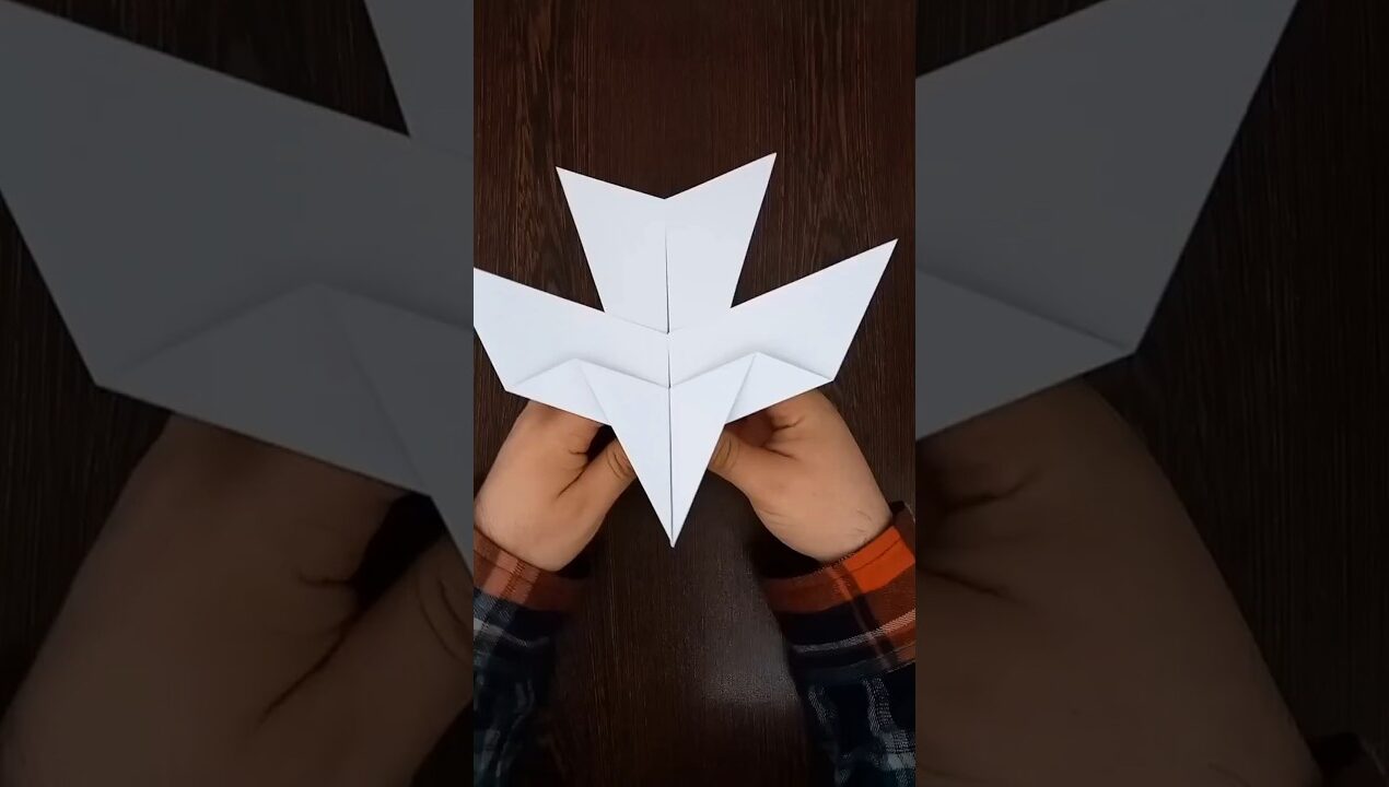 How to make paper bird aeroplane #youtubeshorts #shortvideo #diy #origami #paperairplane #shots