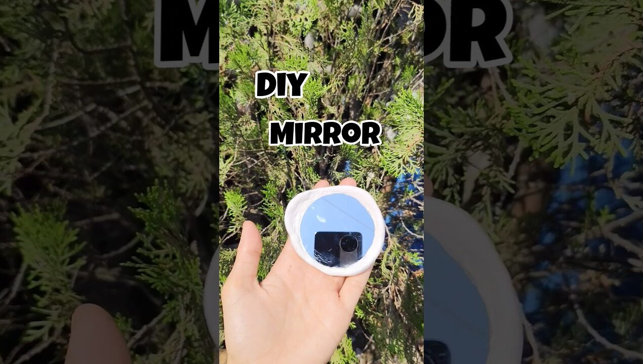 DIY Fac Pawder Mirror 🪞#diy #yt #shorts