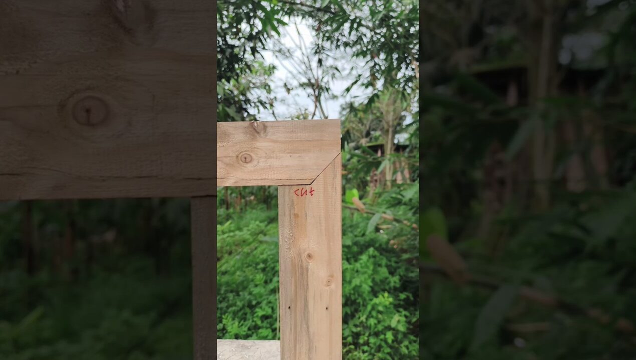 woodtrick ✅#woodworking #diy #ideas #tips #tricks #skills #creative #art