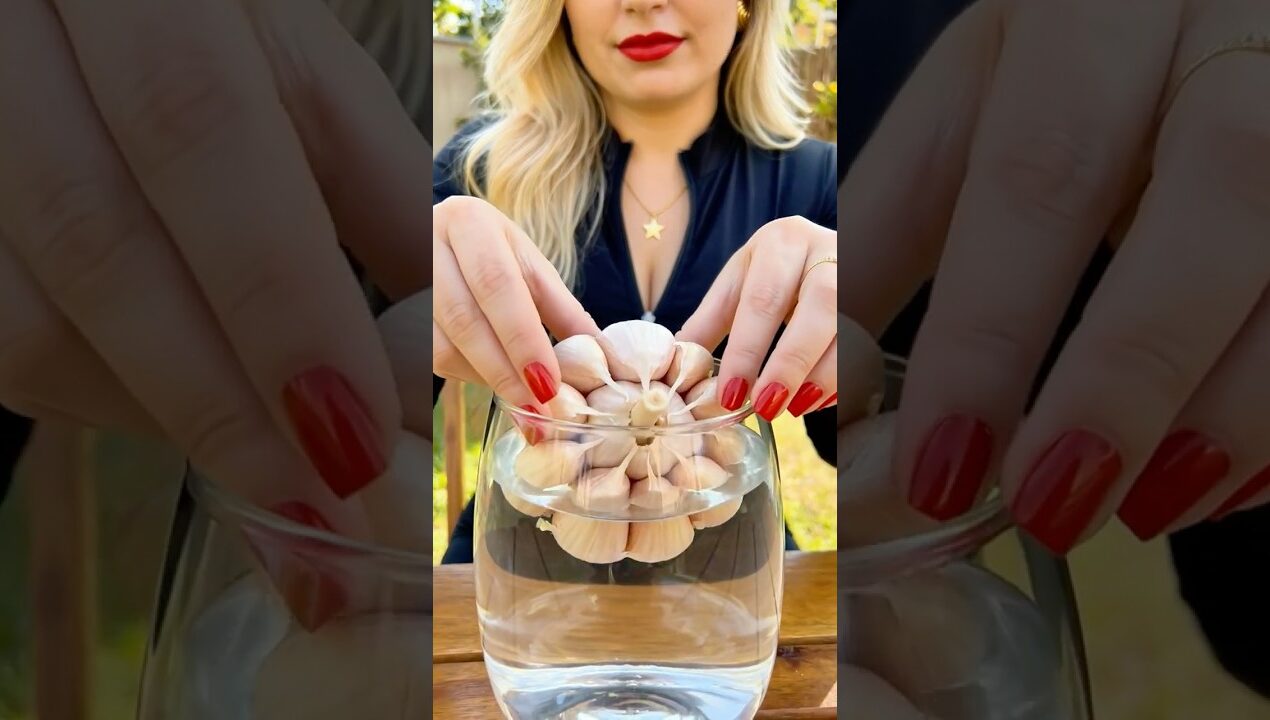 DIY: Grow Fresh Green Onions Every Day at Home 🧄🌿 Garlic Trick #shorts