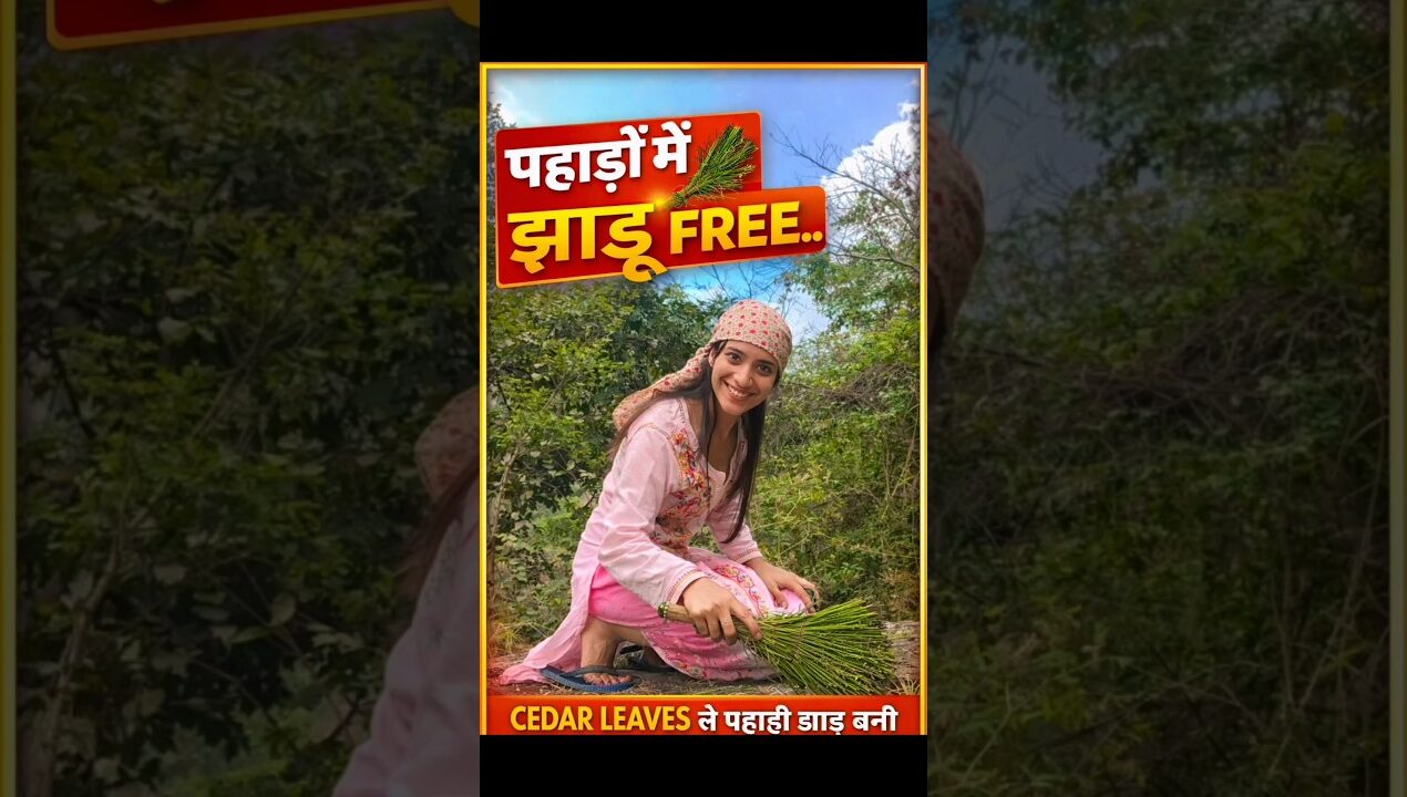 DIY Village Broom Using Pine Leaves☺️#villagelifestyle#ytshorts #pahadi#viralvideo #trendingnow#diy