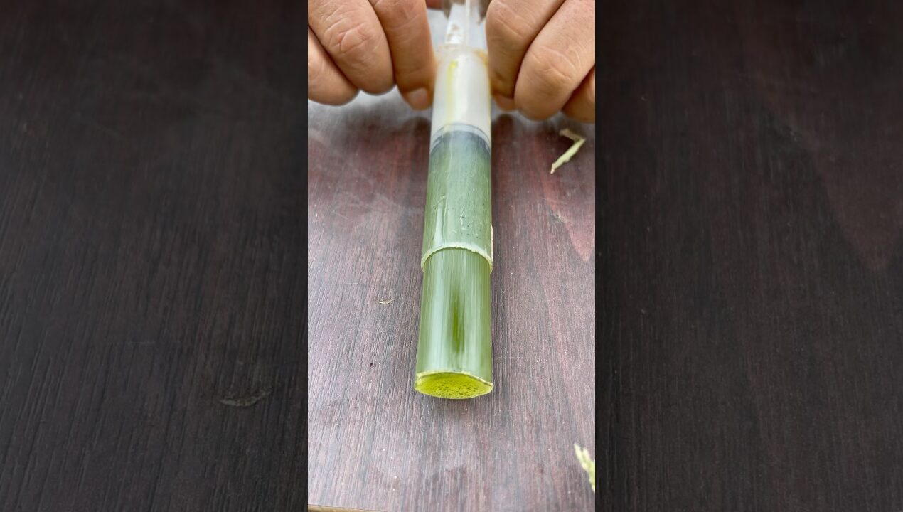 The Guy Shows DIY makes mini save Soap and Water for Survival #camping #survival #diy #outdoors