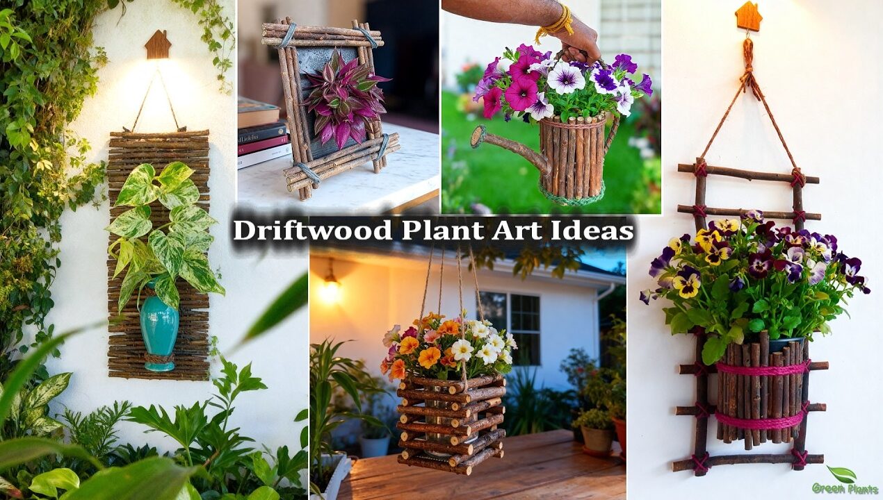 5 Amazing Indoor & Outdoor Plant Decor Ideas | DIY Driftwood Garden Art//GREEN PLANTS